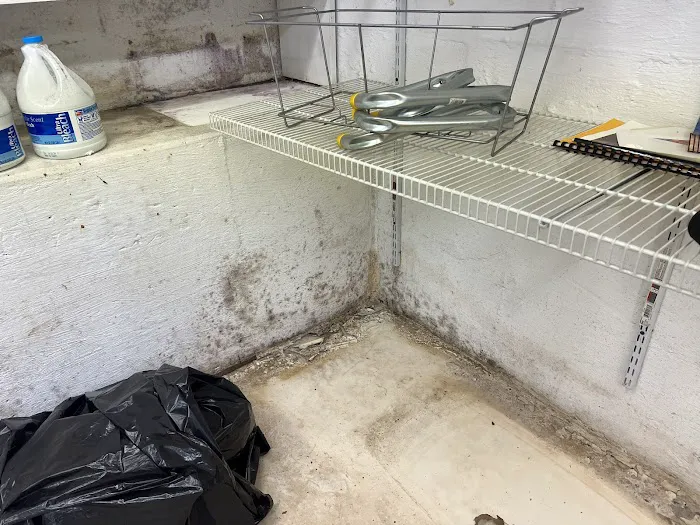 Green Guard Mold Remediation of Commack Picture 7