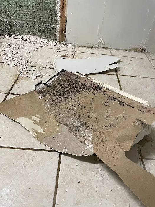 Green Guard Mold Remediation of Commack Picture 1