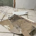 Green Guard Mold Remediation of Commack