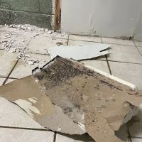 Green Guard Mold Remediation of Commack ico