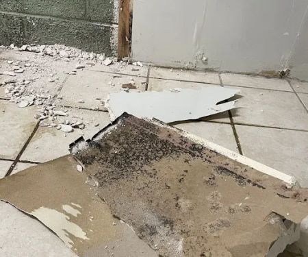 Green Guard Mold Remediation of Commack