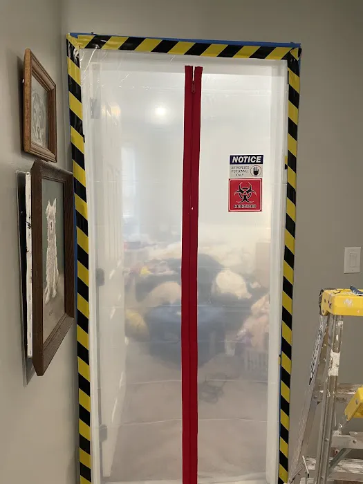 Green Guard Mold Remediation of Commack Picture 5