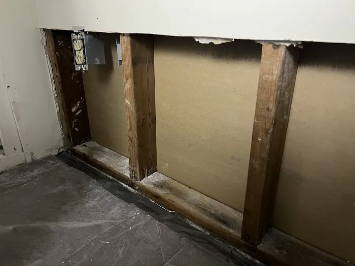 Green Guard Mold Remediation of Commack Picture 3