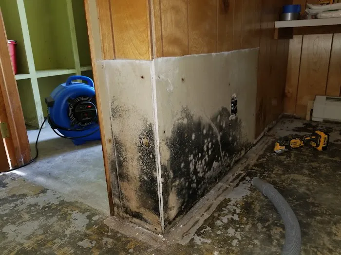 Reliable Remediation Picture 9