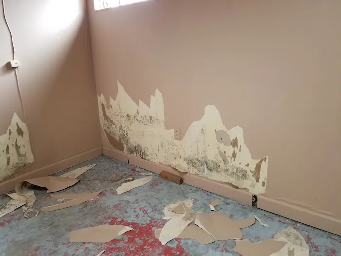 Reliable Remediation Picture 1