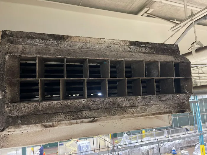 Moldbusters Picture 1