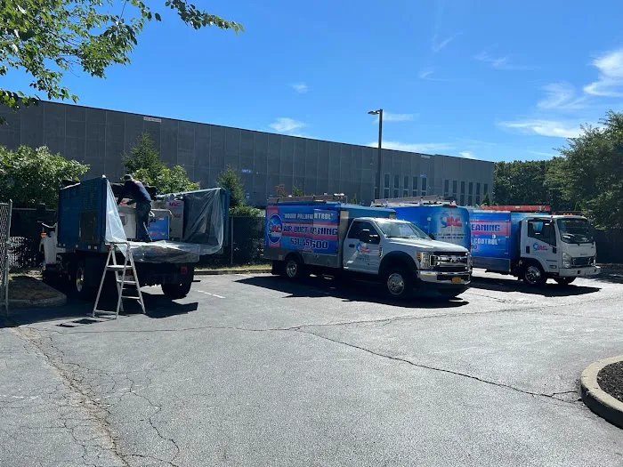 Moldbusters Picture 10