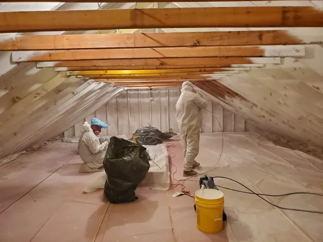 Moldbusters Picture 2