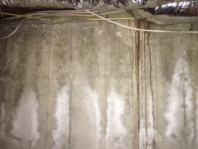 Moldbusters Picture 4