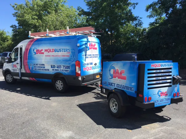 Moldbusters Picture 8