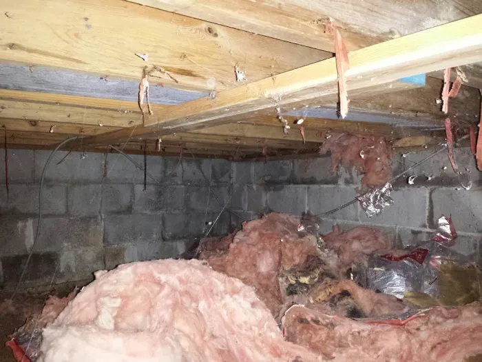 J.S. Services Inc. Picture 10