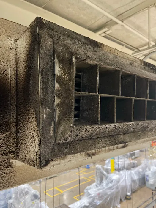 Moldbusters Picture 10