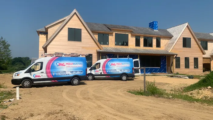 Moldbusters Picture 6