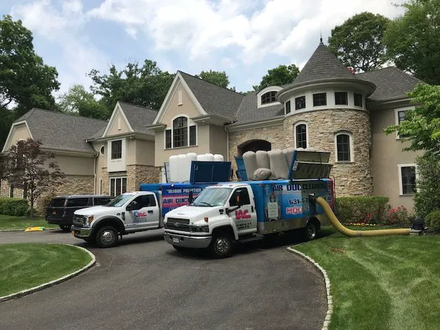 Moldbusters Picture 8