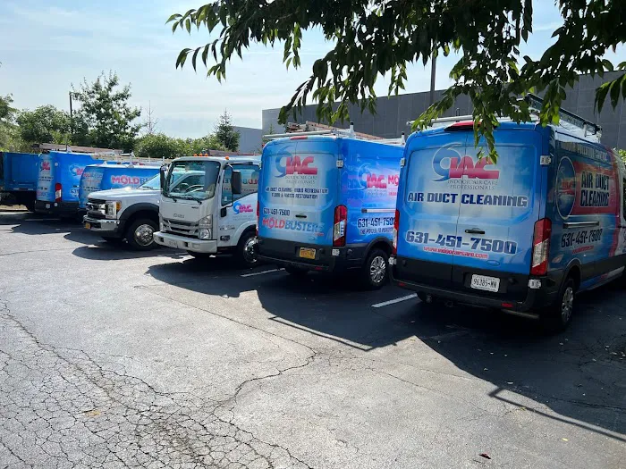 Moldbusters Picture 4