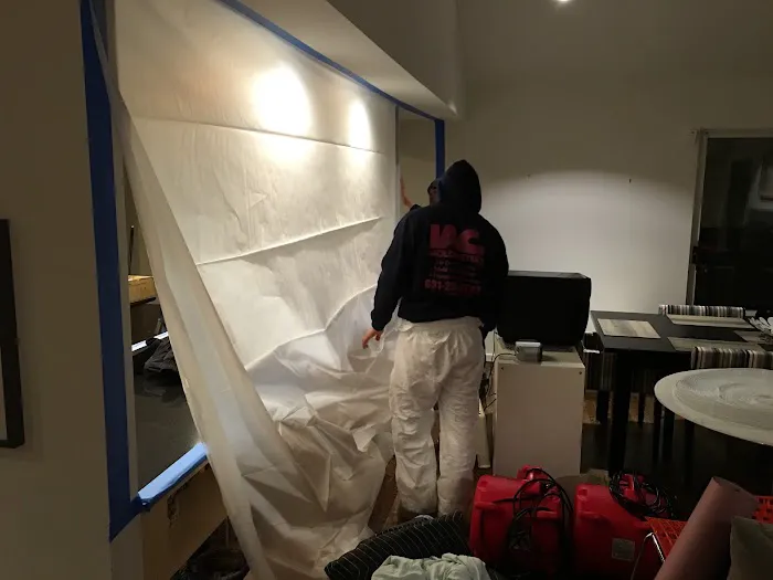 Moldbusters Picture 3