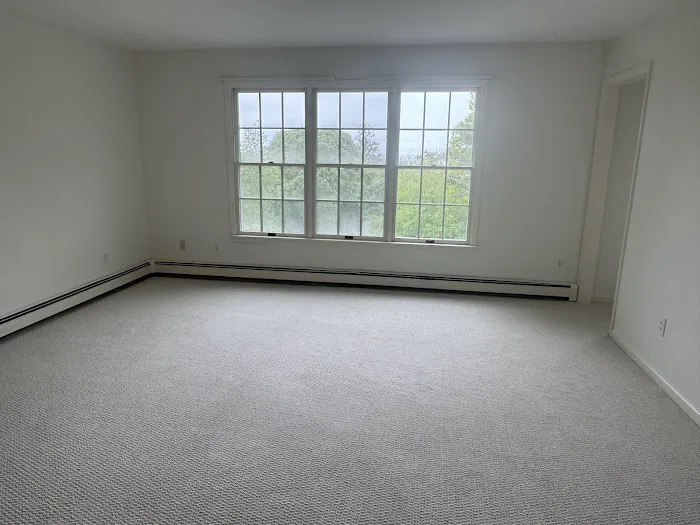 Hygienic Cleaning & Restoration Picture 1