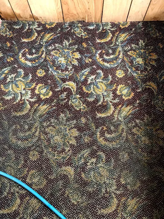 Hygienic Cleaning & Restoration Picture 10