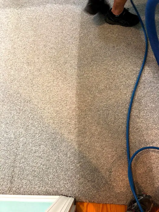 Hygienic Cleaning & Restoration Picture 2