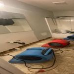 Water Damage Solutions Stony Brook