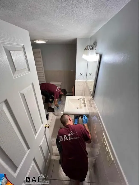 DAI Restore Picture 5