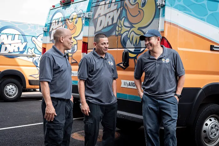 All Dry Services of Rhode Island Picture 1