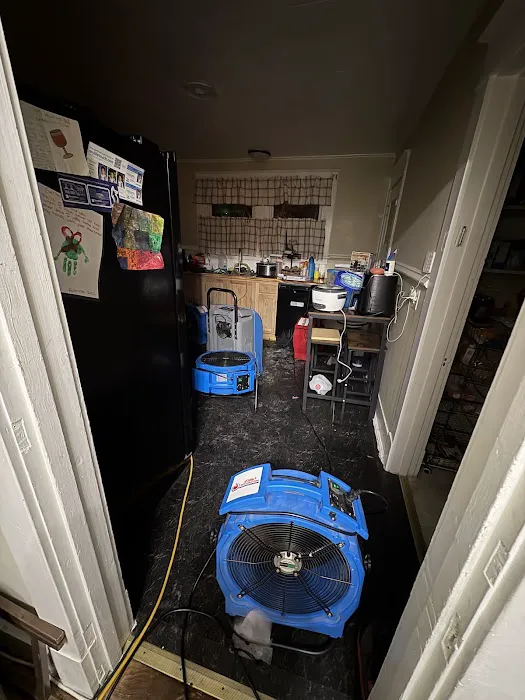 Lilly's Restoration Picture 4