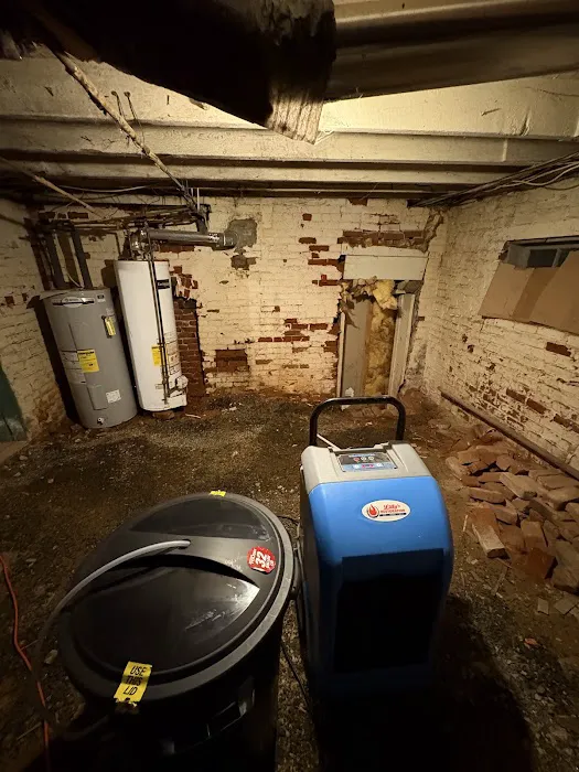 Lilly's Restoration Picture 2