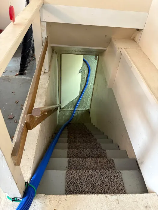 Lilly's Restoration Picture 6