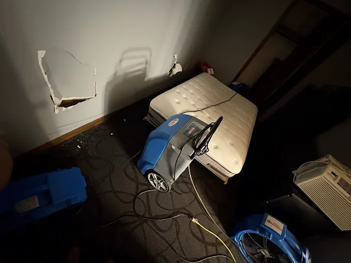 Lilly's Restoration Picture 9