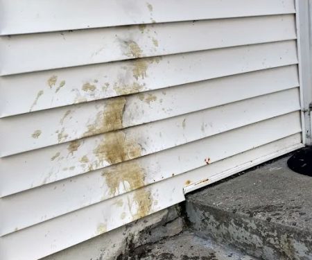 Water Fire Mold Restoration Services