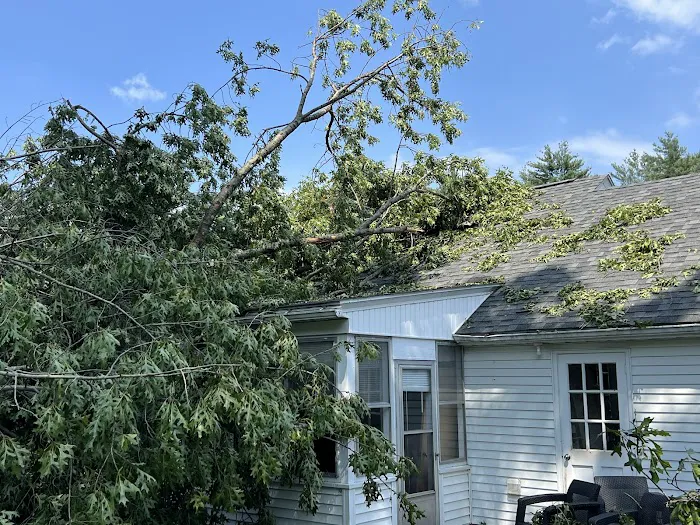 1-800 Water Damage of Manchester and Nashua Picture 3