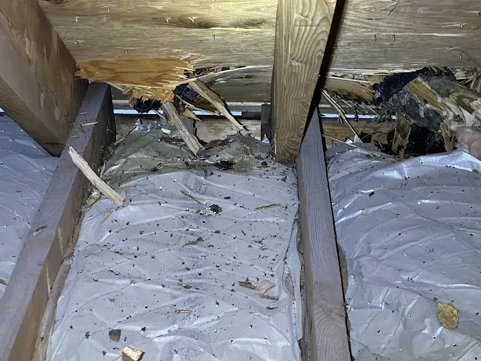 1-800 Water Damage of Manchester and Nashua Picture 10