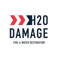 H2O LLC ico