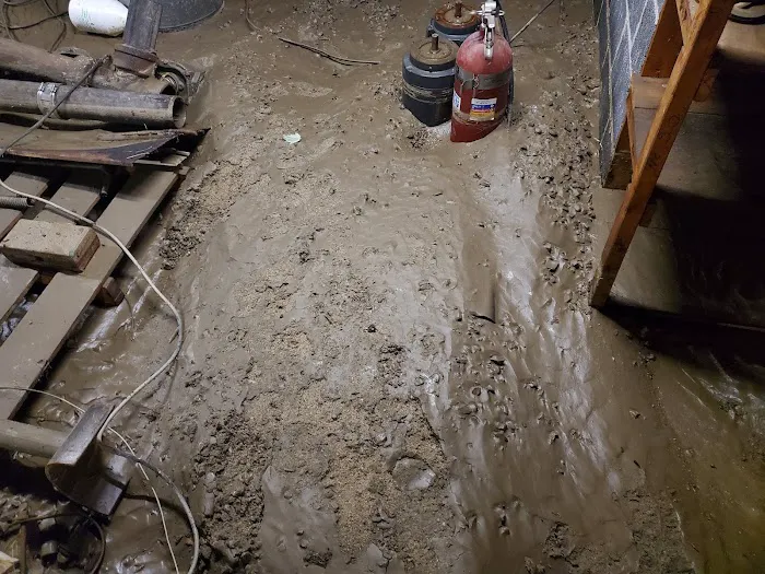 ServiceMaster by Williams Picture 5