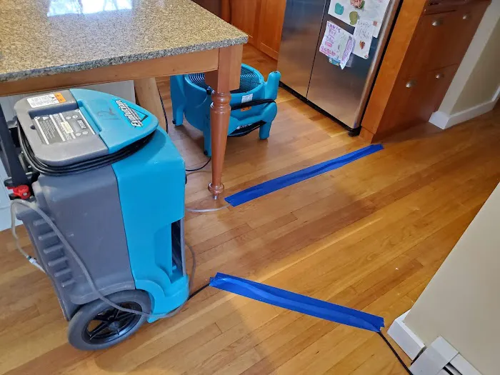 ServiceMaster by Williams Picture 4