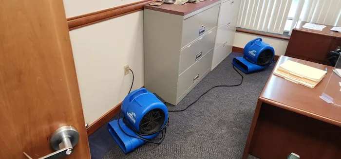 Octagon Cleaning and Restoration Picture 5