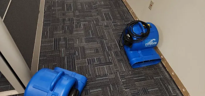 Octagon Cleaning and Restoration Picture 1