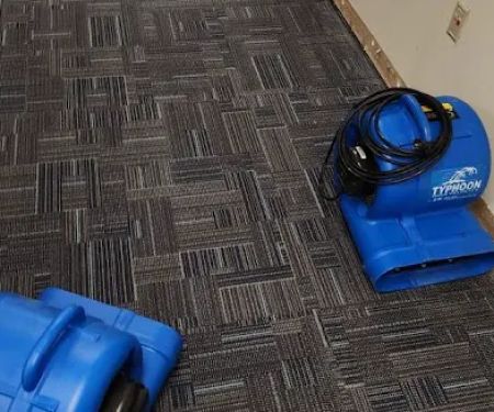 Octagon Cleaning and Restoration