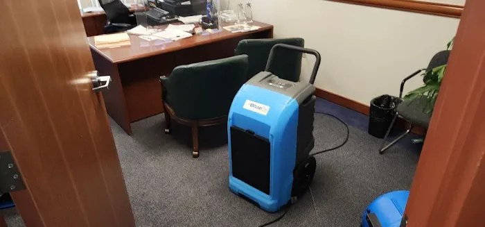 Octagon Cleaning and Restoration Picture 3