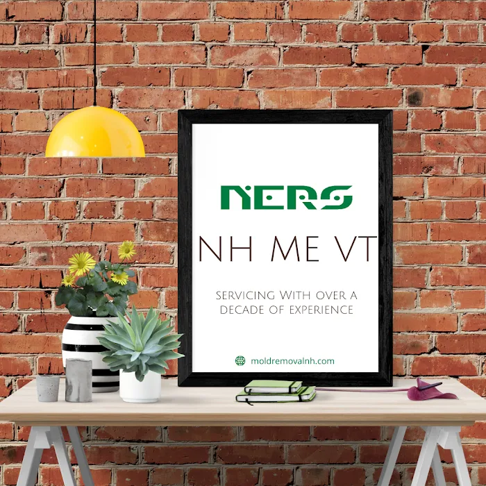 New England Remediation Services, LLC Picture 7