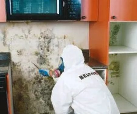 BELFOR Property Restoration (New Hampshire)