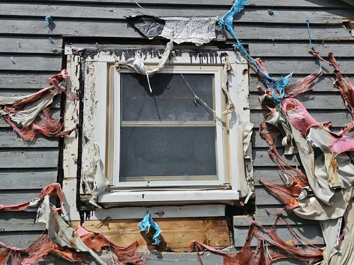 PuroClean of Strafford County Picture 3