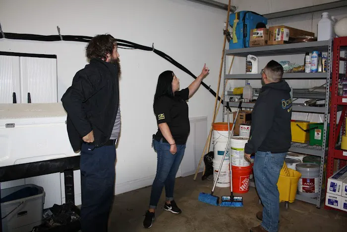 Octagon Cleaning and Restoration Picture 1