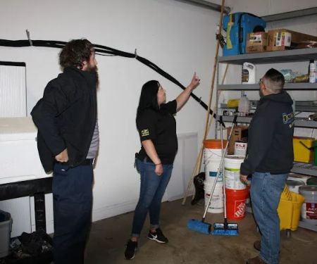 Octagon Cleaning and Restoration