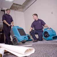 ServiceMaster by Disaster Associates, Inc. - Fire, Water Damage Restoration ico