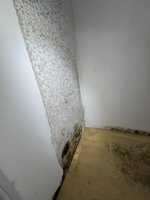 Northeast Restoration Solutions Picture 2