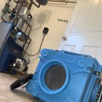 Clean Up Kings - Water Fire & Mold Restoration Services Long Island ico