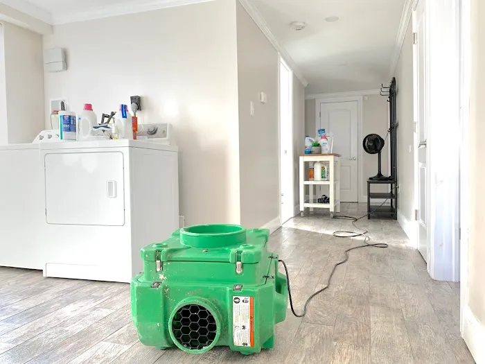 Clean Up Kings - Water Fire & Mold Restoration Services Long Island Picture 2