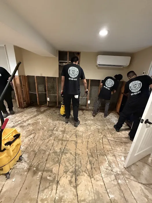 Tomcon Restoration Picture 3